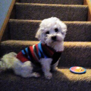 Meet your Posher, Candace